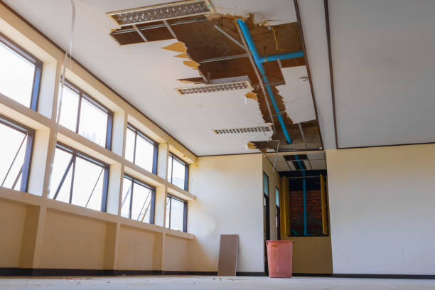  Harbor Isle, NY Water damage restoration Pros