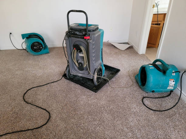 Best Water damage contractors near me  in Harbor Isle, NY