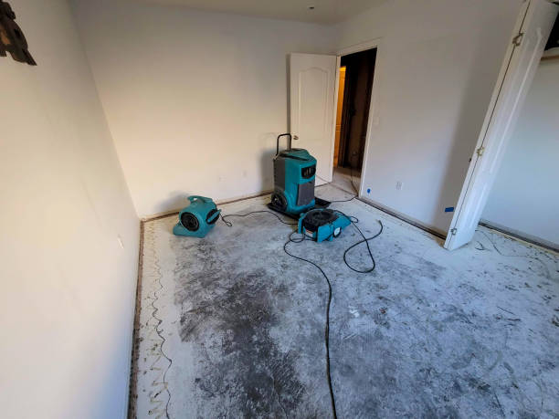 Best Ceiling water damage repair  in Harbor Isle, NY