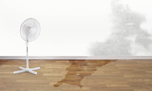 Best Water damage restoration near me  in Harbor Isle, NY