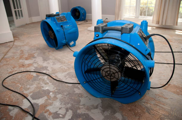 Best Residential water damage restoration  in Harbor Isle, NY