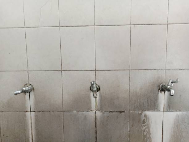 Best 24-hour water damage restoration  in Harbor Isle, NY