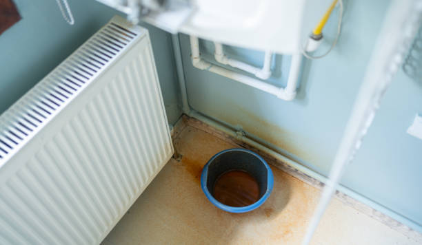 Best Flood damage cleanup  in Harbor Isle, NY