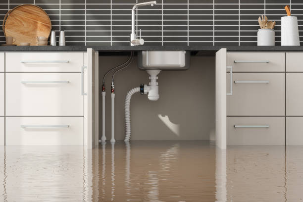 Best Carpet water damage restoration  in Harbor Isle, NY