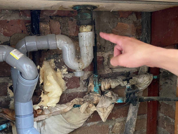 Best Water damage restoration near me  in Harbor Isle, NY