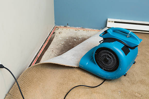 Best Water damage restoration cost  in Harbor Isle, NY